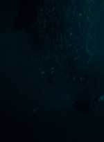 ftwd203_0515.jpg