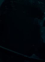 ftwd203_0529.jpg