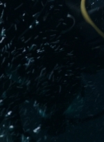 ftwd203_0566.jpg