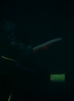 ftwd203_0567.jpg