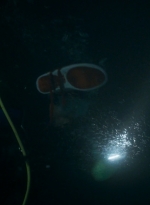 ftwd203_0569.jpg