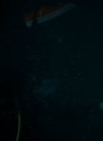 ftwd203_0570.jpg