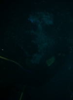 ftwd203_0571.jpg