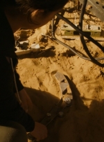 ftwd203_1515.jpg