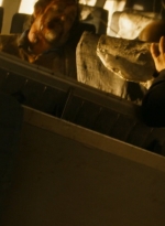 ftwd203_1928.jpg
