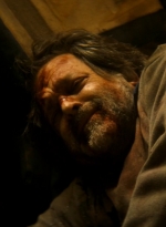 ftwd203_2015.jpg
