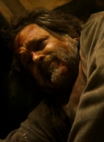 ftwd203_2017.jpg