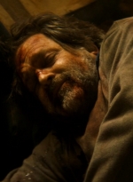ftwd203_2018.jpg