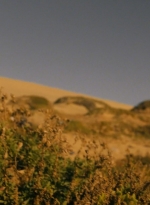 ftwd203_2101.jpg
