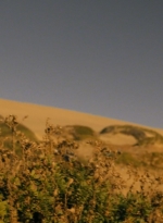 ftwd203_2102.jpg