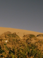 ftwd203_2103.jpg