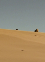 ftwd203_2339.jpg