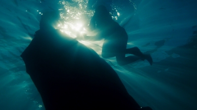 ftwd204_3200.jpg