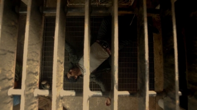 ftwd205_1082.jpg