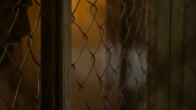 ftwd205_1106.jpg