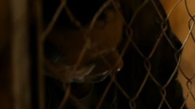 ftwd205_1143.jpg