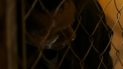 ftwd205_1144.jpg