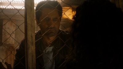 ftwd205_1240.jpg