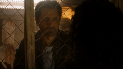 ftwd205_1242.jpg