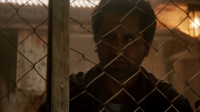 ftwd205_1733.jpg