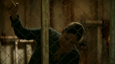 ftwd205_3037.jpg