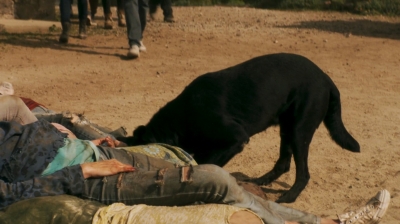 ftwd206_0727.jpg