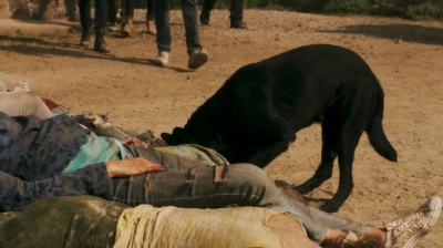 ftwd206_0728.jpg