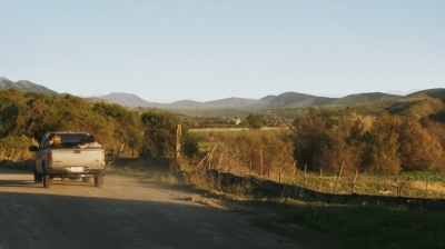 ftwd206_0980.jpg
