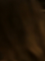 ftwd206_1420.jpg