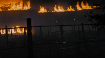 ftwd207_2971.jpg