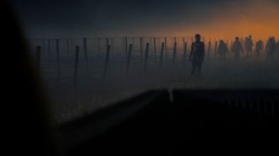ftwd207_3011.jpg