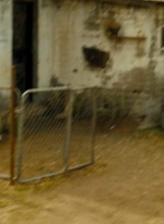 ftwd207_0579.jpg
