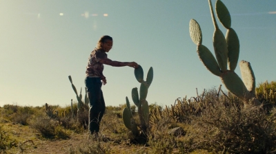ftwd208_1019.jpg