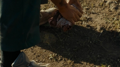 ftwd208_1032.jpg