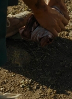 ftwd208_1032.jpg