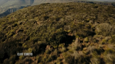 ftwd209_0299.jpg