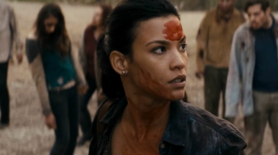 ftwd209_0809.jpg
