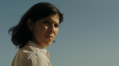 ftwd210_1799.jpg