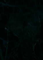 ftwd210_0963.jpg