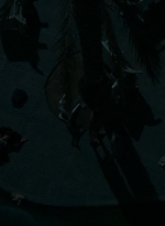 ftwd210_1077.jpg