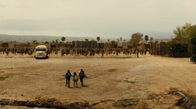ftwd212_0102.jpg