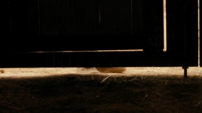 ftwd213_1405.jpg