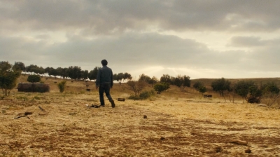 ftwd213_1807.jpg