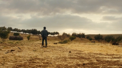 ftwd213_1808.jpg
