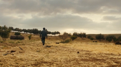 ftwd213_1809.jpg