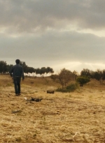 ftwd213_1810.jpg