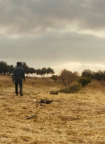 ftwd213_1811.jpg