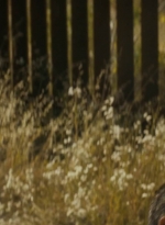 ftwd214_0078.jpg