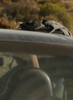 ftwd214_0097.jpg