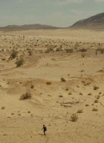 ftwd214_1205.jpg